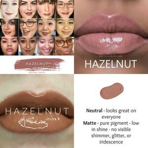 LipSense Brown Lipstick Glossy Finish